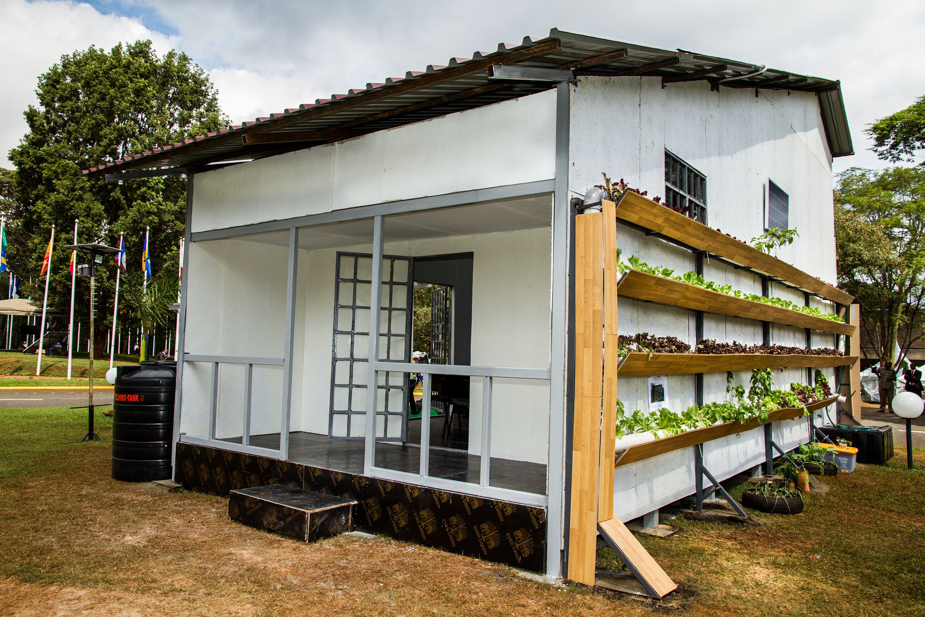 A low angle view showing the plants on the side of the house