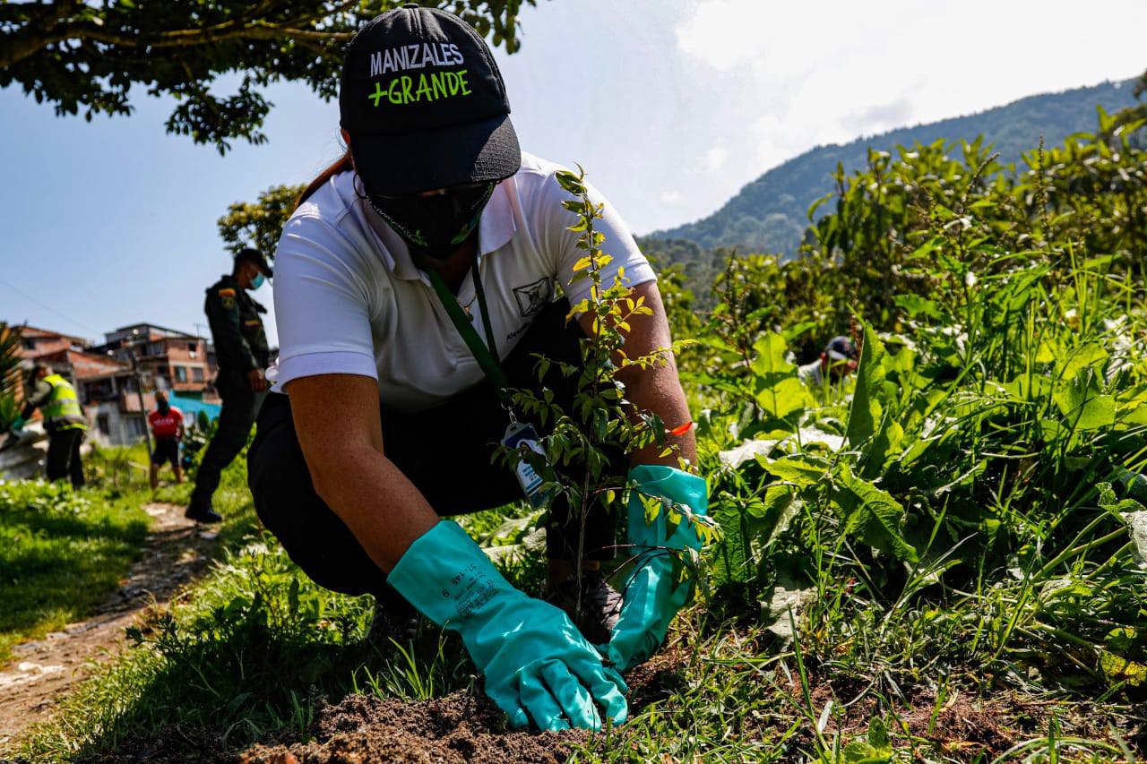 UN-Habitat and University of Michigan identify biodiversity solutions to climate change in Manizales, Colombia. 